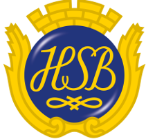 BRF Viggen logo